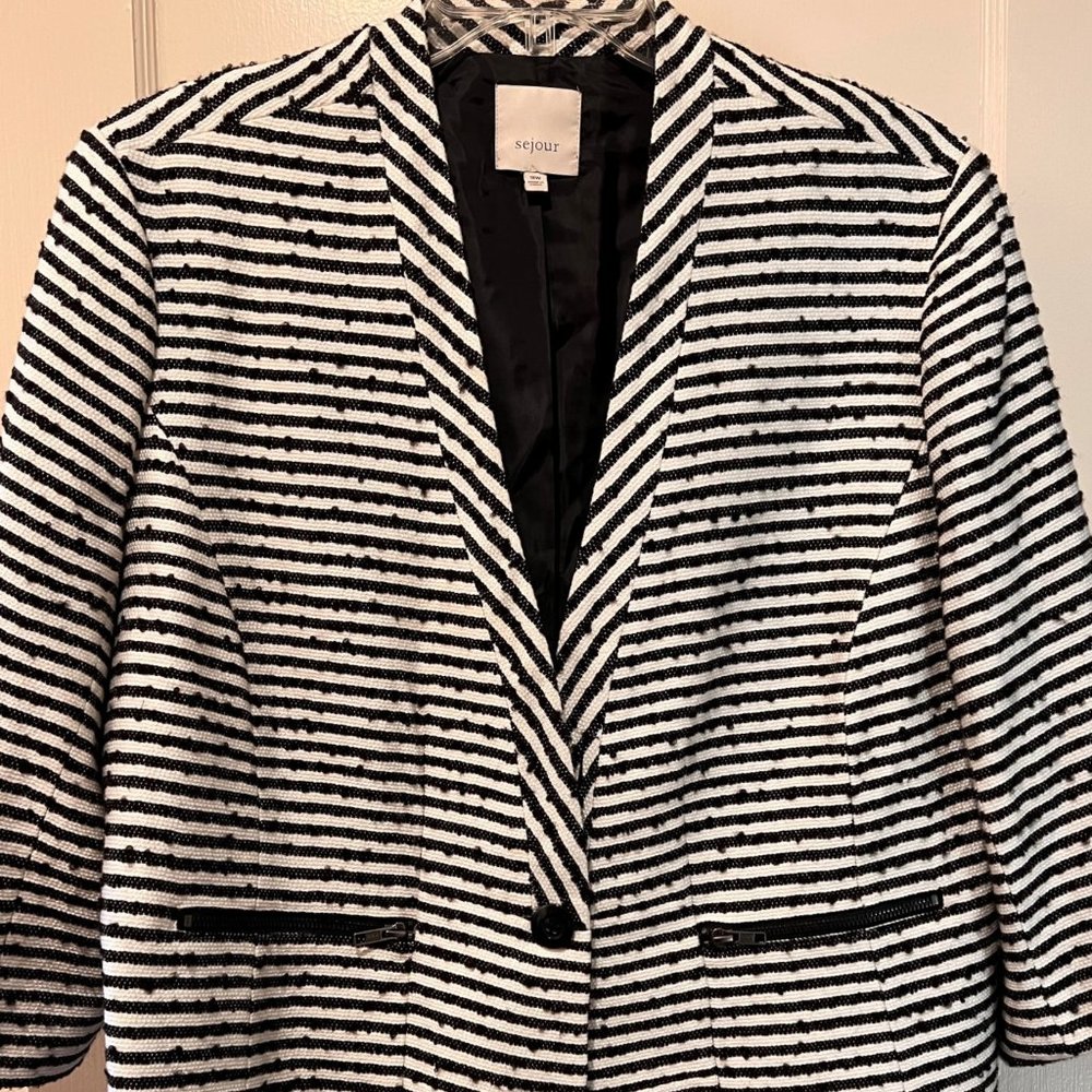 Sejour, Black and White Striped Women's Plus Size Blazer - 18W